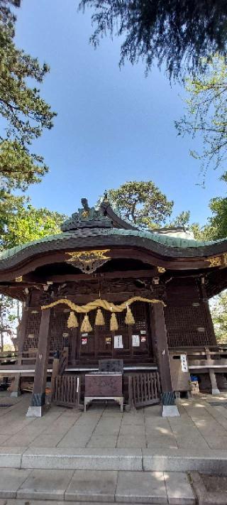 山野浅間神社の参拝記録(まーぼーさん)