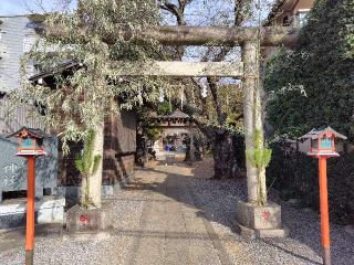 八坂神社の参拝記録(ロビンさん)