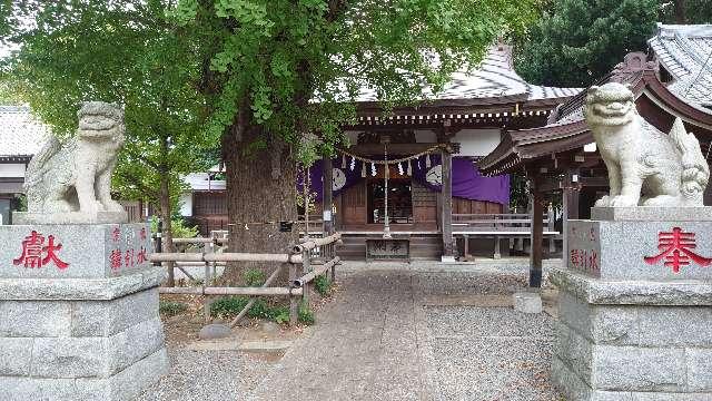 八坂神社の参拝記録6