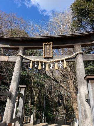 下總国三山 二宮神社の参拝記録(⛩️🐍🐢まめ🐢🐍⛩️さん)