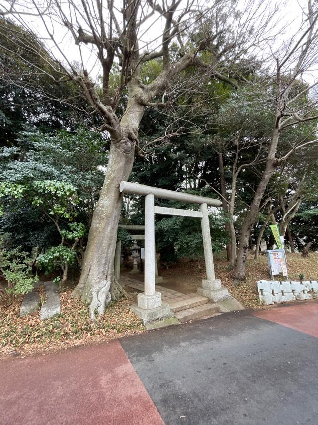 八坂神社の参拝記録5