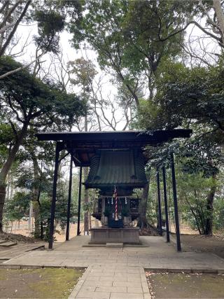 八坂神社の参拝記録(ねこチャリさん)