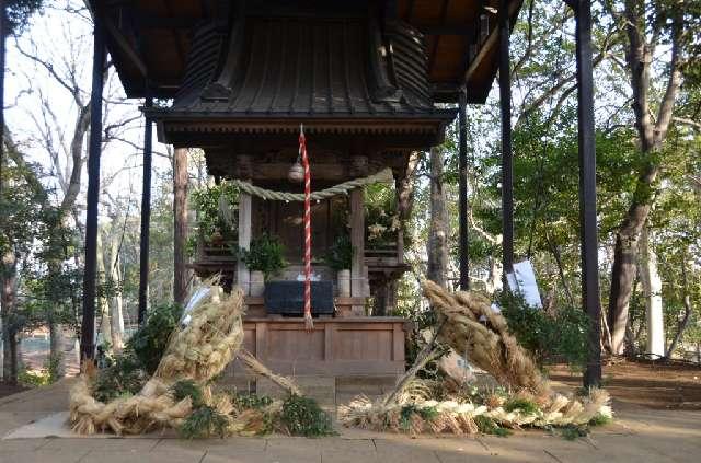 八坂神社の参拝記録1
