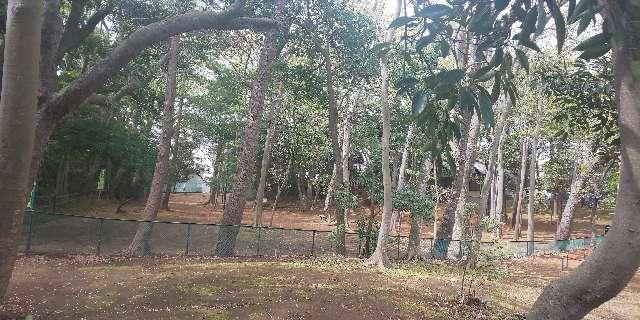 八坂神社の参拝記録9