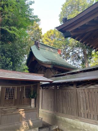 王子神社の参拝記録(ねこチャリさん)