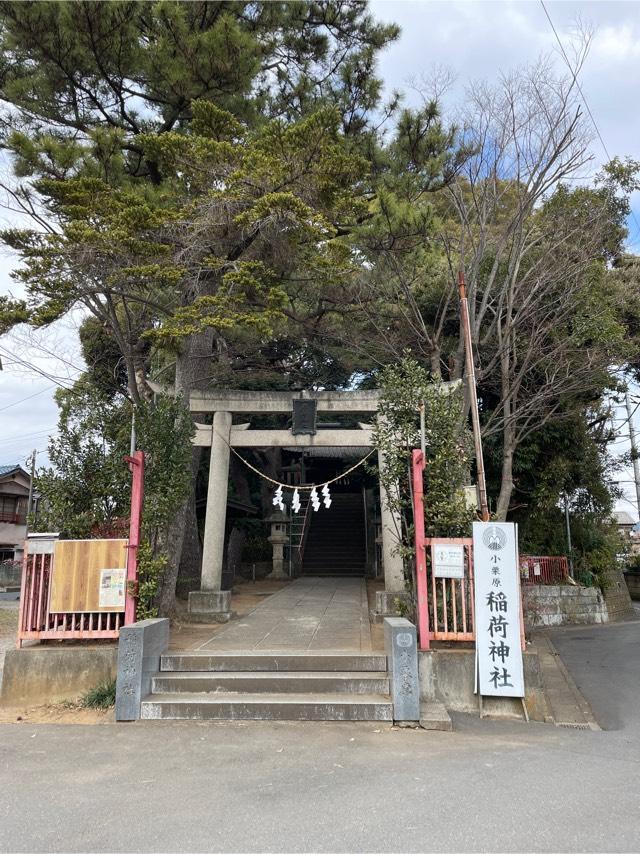 小栗原稲荷神社の参拝記録(ねこチャリさん)