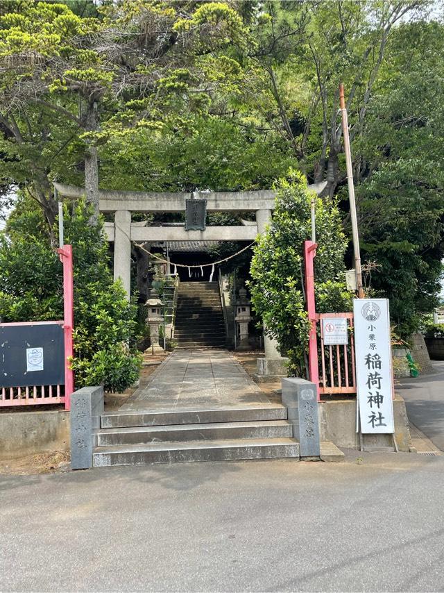 小栗原稲荷神社の参拝記録(たかおさん)