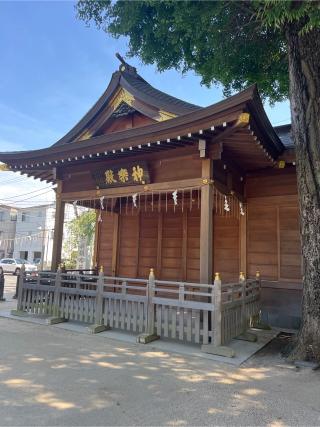 松戸神社の参拝記録(⛩️🐉🐢まめ🐢🐉⛩️さん)