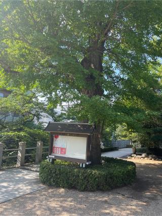 松戸神社の参拝記録(⛩️🐉🐢まめ🐢🐉⛩️さん)