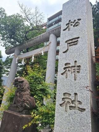 松戸神社の参拝記録(まーさんさん)