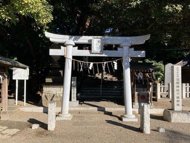 浅間神社の参拝記録6