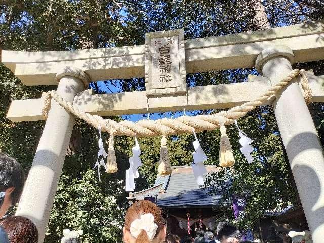 白髭神社の参拝記録3