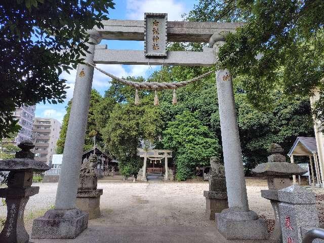 千葉県松戸市日暮5-266 白髭神社の写真3
