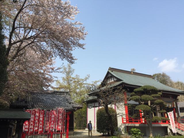金ケ作熊野神社の参拝記録(ピンキー・リングさん)