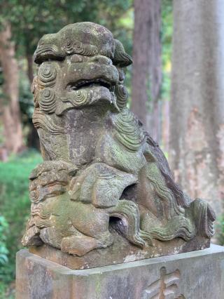 安房須大神社の参拝記録(shikigami_hさん)