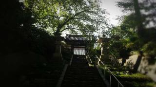 佛国山 文殊院 寳蔵寺の参拝記録(さるさん)