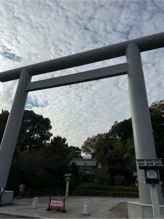 櫻木神社の参拝記録(⛩️🐍🐢まめ🐢🐍⛩️さん)