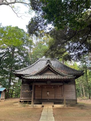 熊野神社の参拝記録(ねこチャリさん)