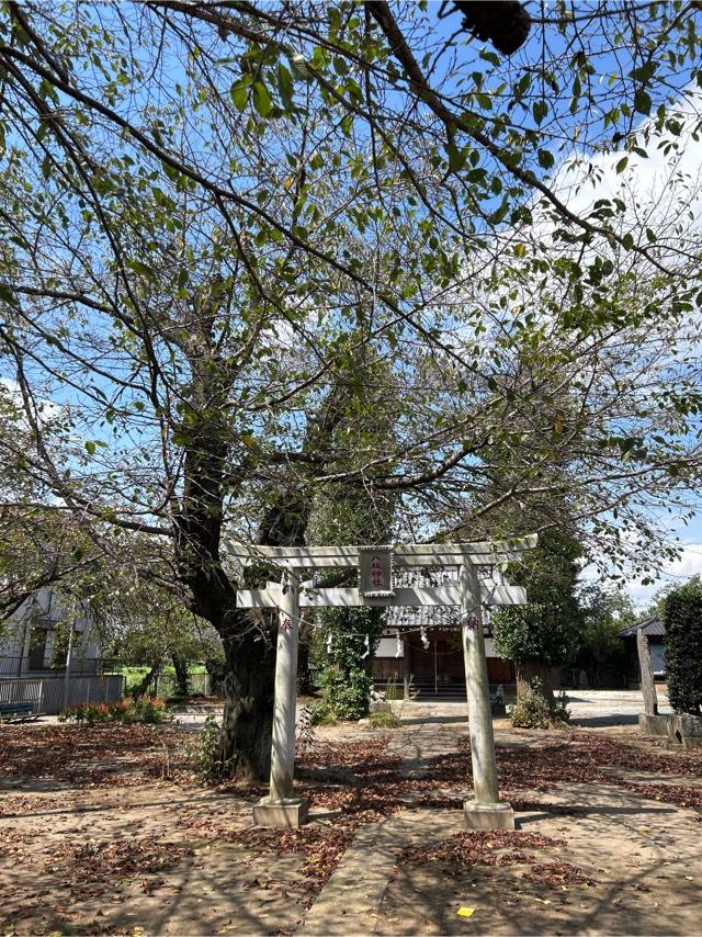 八坂神社の参拝記録1