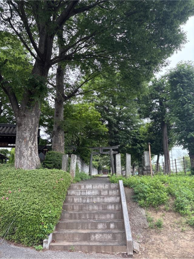 香取神社の写真1