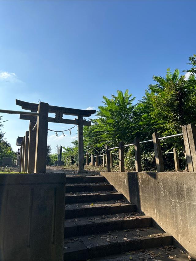 日枝神社の参拝記録(ねこチャリさん)