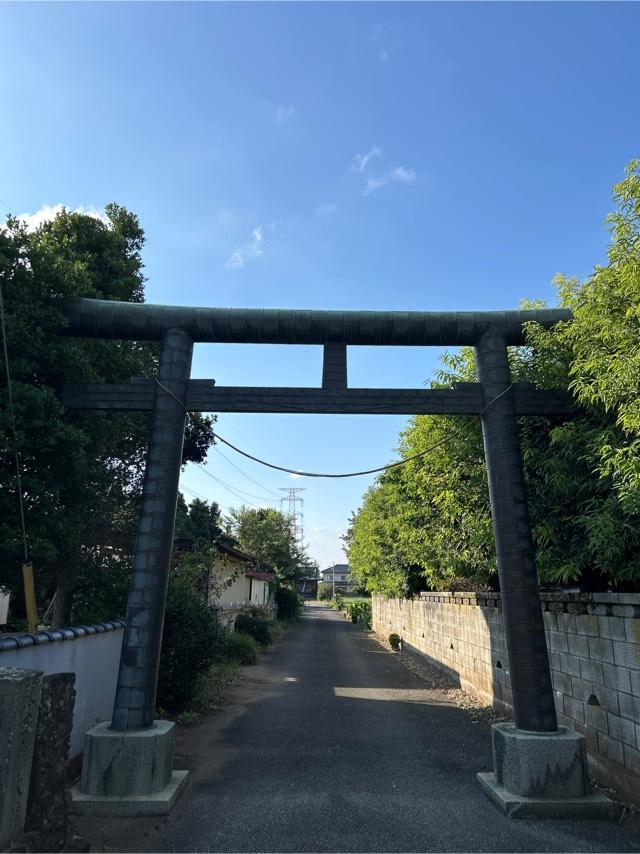 日枝神社の参拝記録(ねこチャリさん)