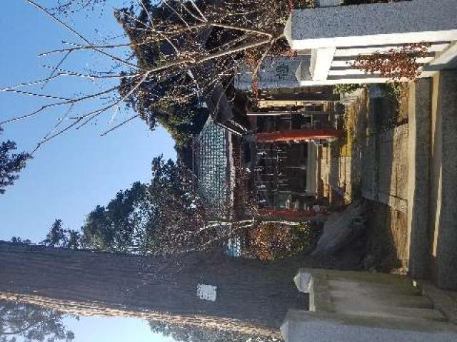 千葉県柏市藤心273番地 八幡神社の写真1