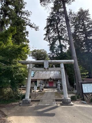 浅間神社の参拝記録(ねこチャリさん)