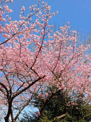 廣幡八幡宮の参拝記録(ジョージ。さん)