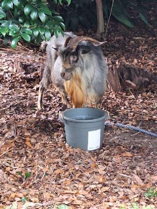 諏訪神社の参拝記録(まーさんさん)