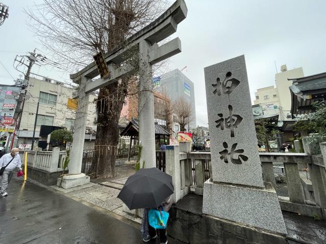 柏神社（羽黒神社）の参拝記録5