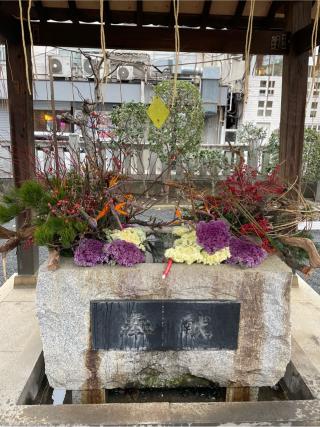 柏神社（羽黒神社）の参拝記録(ギャズさん)