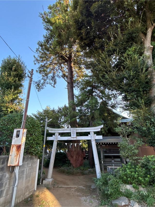 千葉県柏市松ケ崎1173番地ノ1 香取神社の写真1