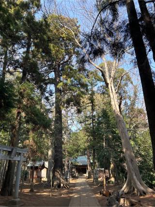 香取神社の参拝記録(ねこチャリさん)