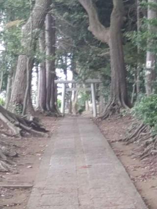 大宮神社の参拝記録(のむたんさん)