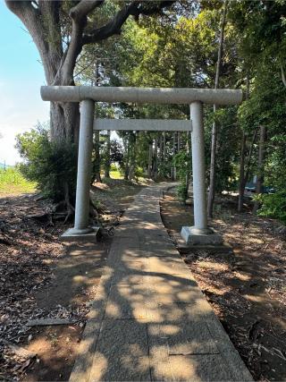 大宮神社の参拝記録(こーちんさん)