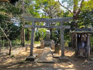 流山赤城神社の参拝記録(シュウさん)