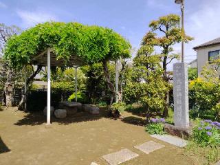 大杉神社の参拝記録(miyumikoさん)