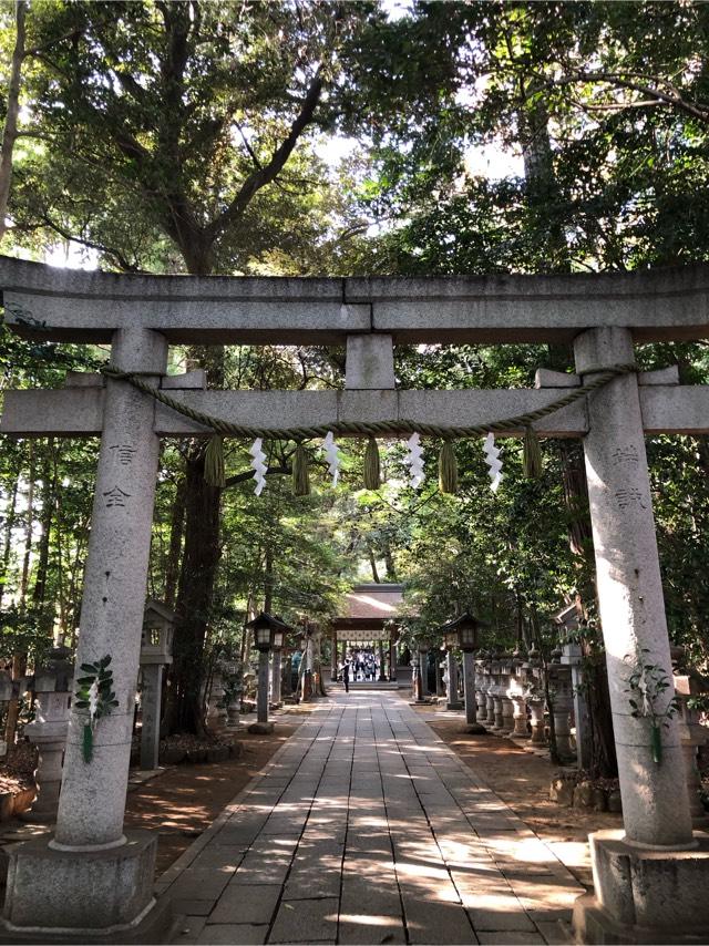 駒木諏訪神社 (諏訪之宮)の参拝記録8