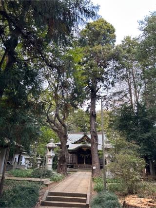 天形星神社の参拝記録(ねこチャリさん)