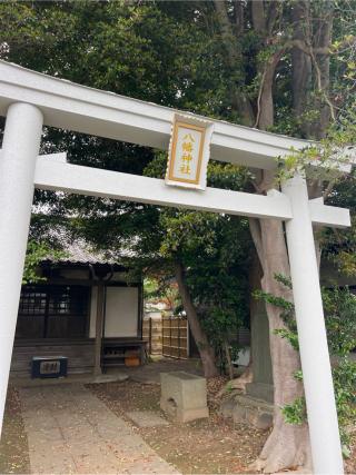 中峠八幡神社の参拝記録(⛩️🐍🐢まめ🐢🐍⛩️さん)