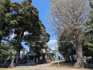 天照神社（伊勢山天照神社）の参拝記録(おがおが1262さん)