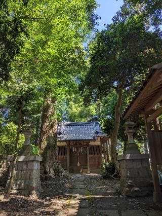 八幡神社の参拝記録(はしどいさん)