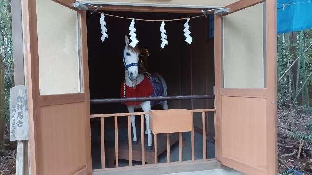 道野辺八幡宮の参拝記録4