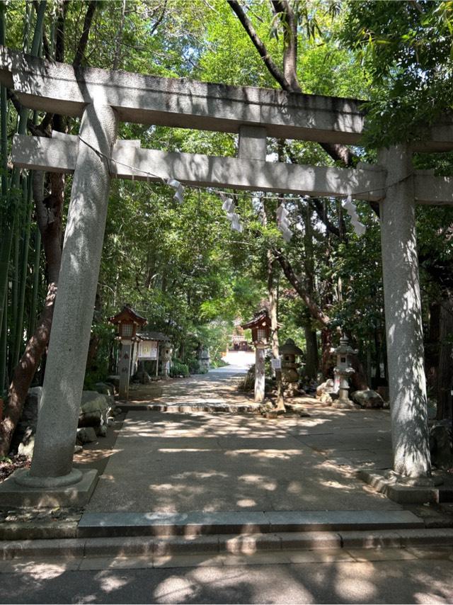 道野辺八幡宮の参拝記録6