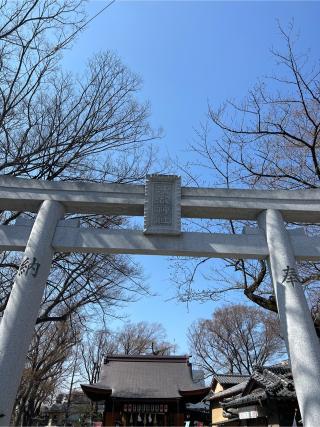 清瀧神社の参拝記録(⛩️🐉🐢まめ🐢🐉⛩️さん)