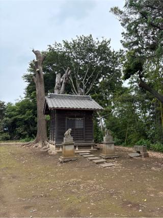 熊野神社の参拝記録(ねこチャリさん)