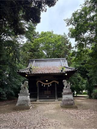 須賀神社の参拝記録(ねこチャリさん)