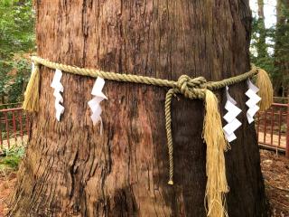 麻賀多神社の参拝記録(金猿さん)