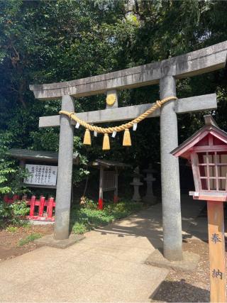 麻賀多神社の参拝記録(⛩️🐍🐢まめ🐢🐍⛩️さん)